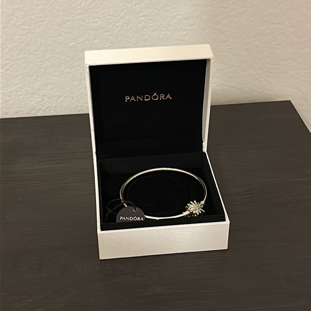 BRAND NEW Pandora bracelet (does NOT include charms)